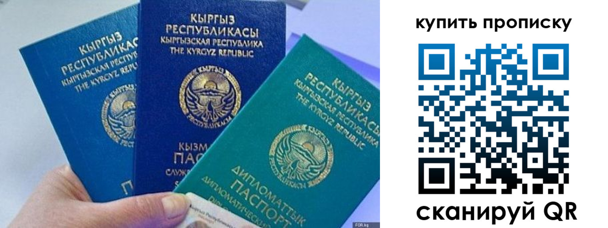 прописка ребенка в Пионерском